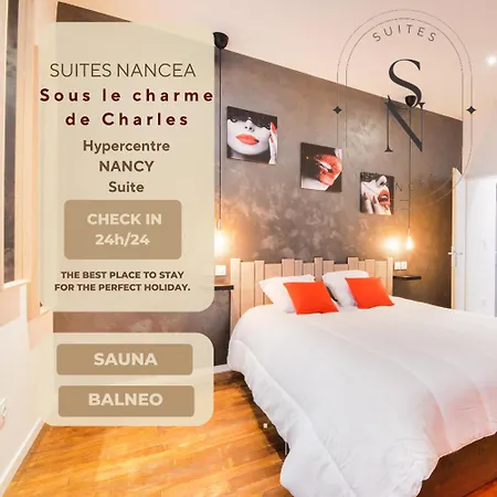 Sous Le Charme De Charles Sauna&jacuzzi * Nancy